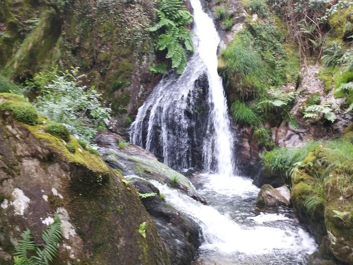 Sendeiro dos Petroglifos e a Fervenza